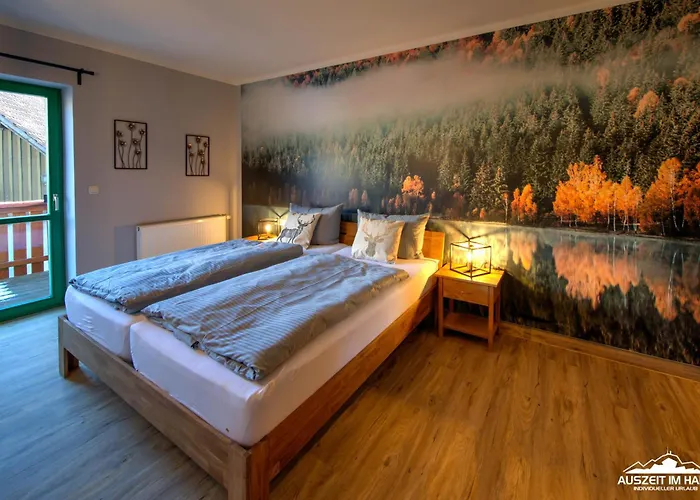 Auszeit-im-harz Haus 5 25 公寓 Stiege