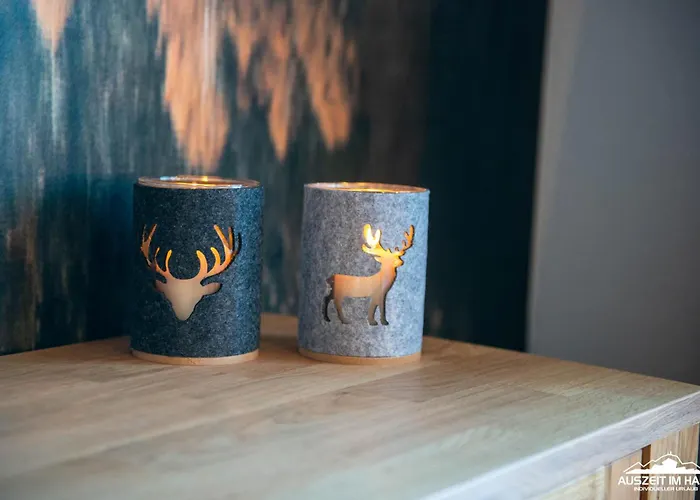 Auszeit-im-harz Haus 5 25 公寓 *