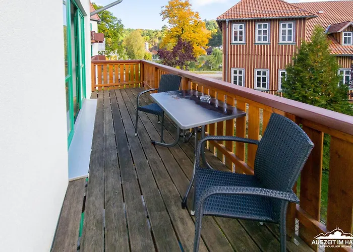 公寓 Auszeit-im-harz Haus 5 25 *